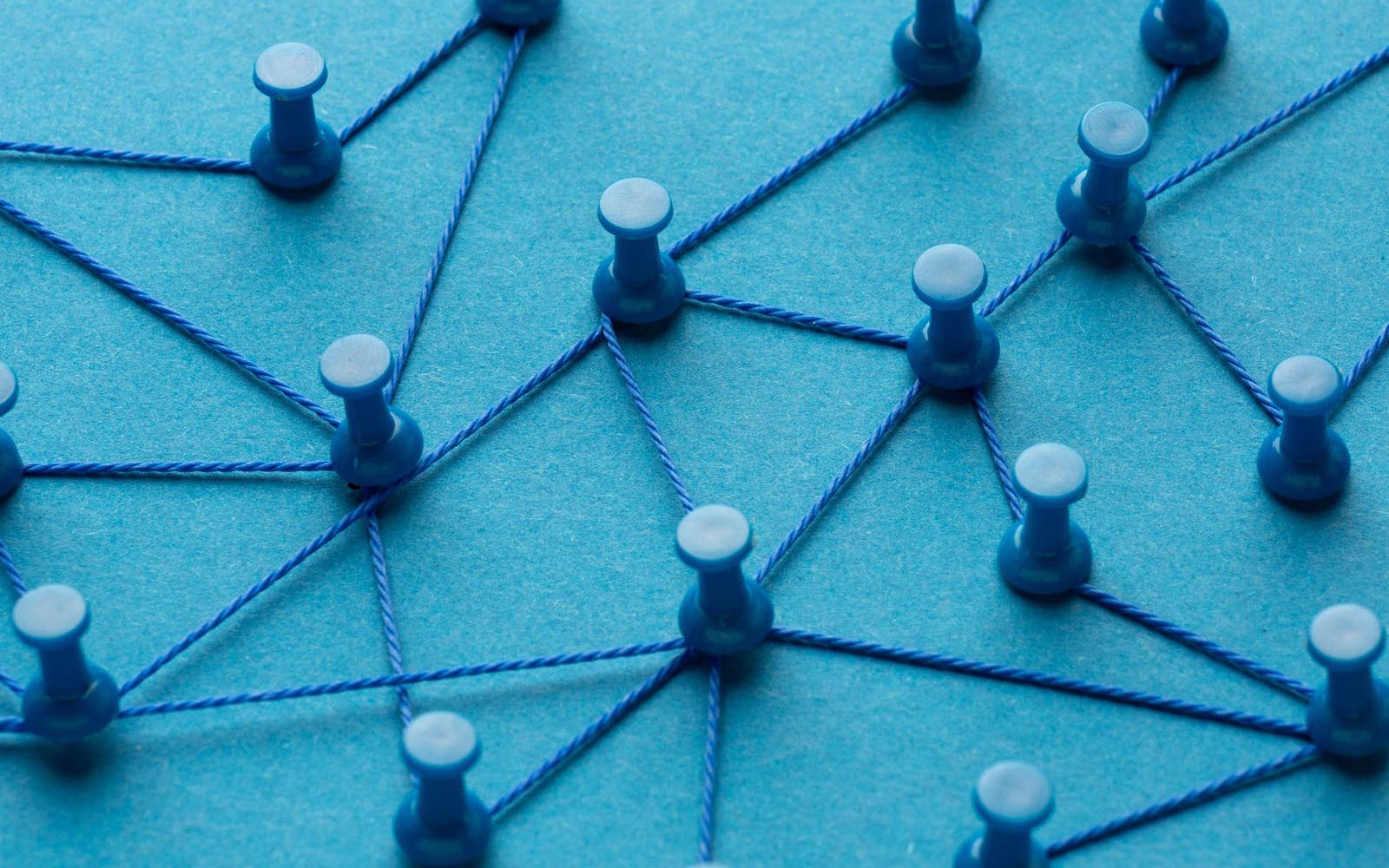 Come funziona il networking del franchising VeCo