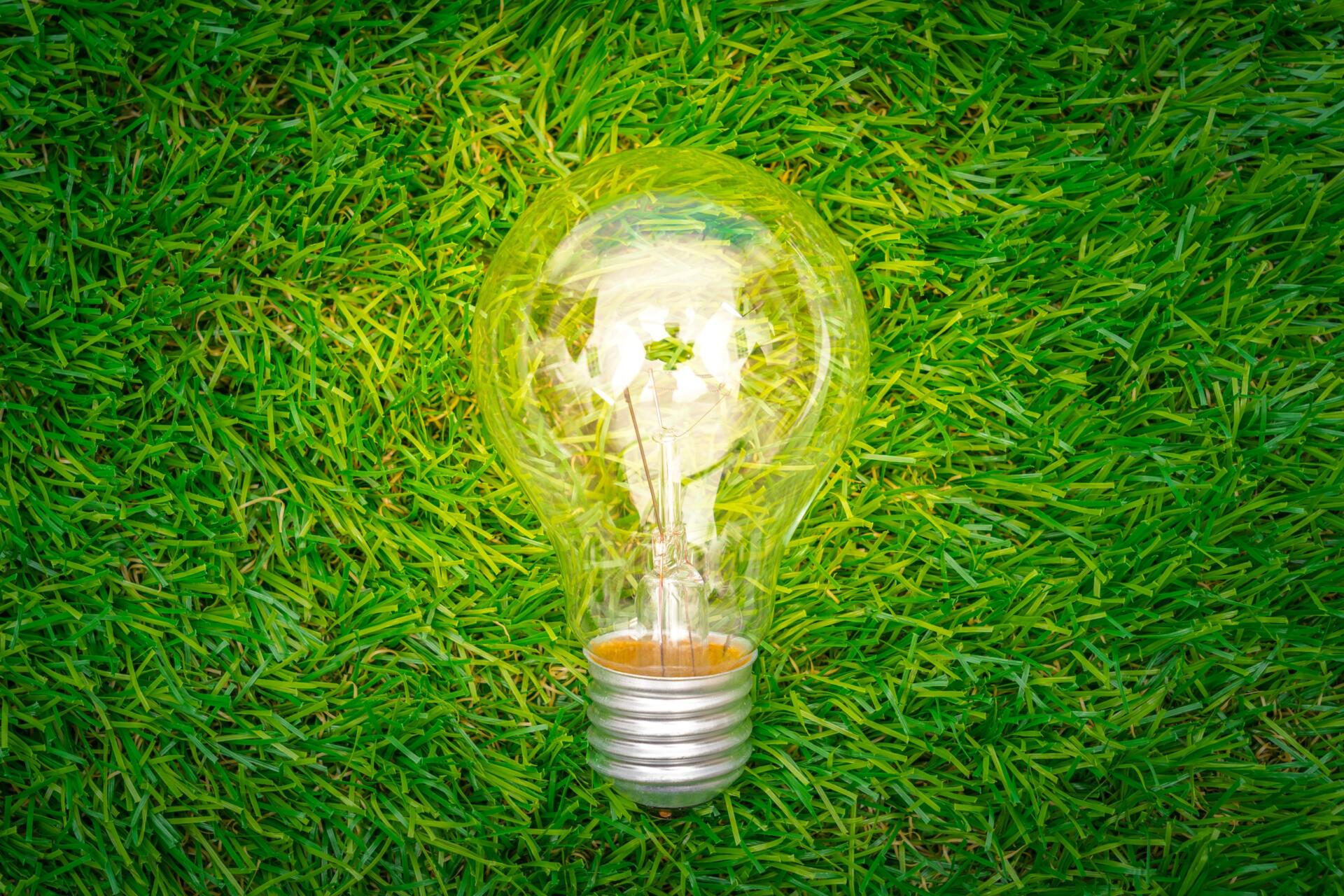 Green Economy, a cura di Vetrina Consulenti, franchising energetico e tutela legale dei consumatori